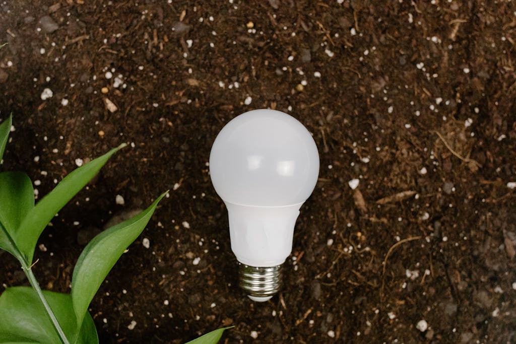 Close-Up Shot of White Light Bulb in Brown Soil