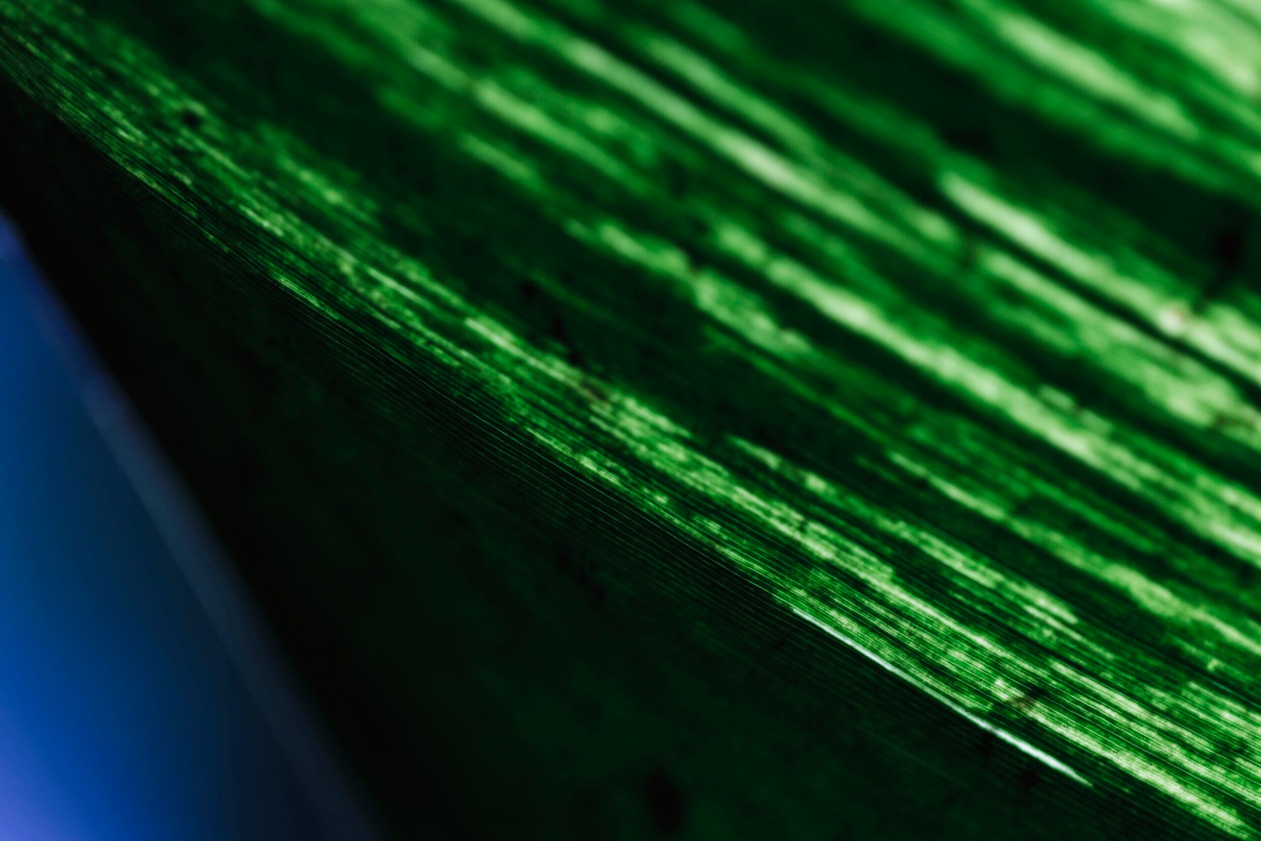 bioaqualife: Close-up of a textured green surface with light and shadow patterns, creating an abstract design. A hint of blue is visible on the edge.