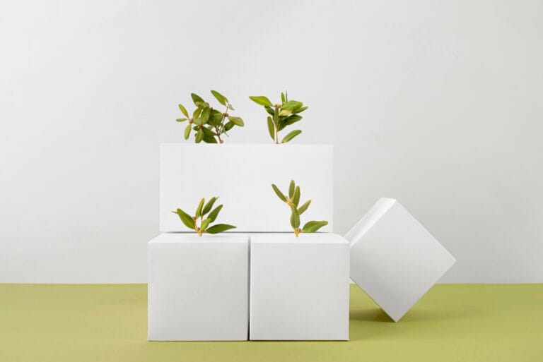 bioaqualife: Three white cubes with small green plants growing from holes are stacked against a light background. The setup creates a minimalist and modern aesthetic.