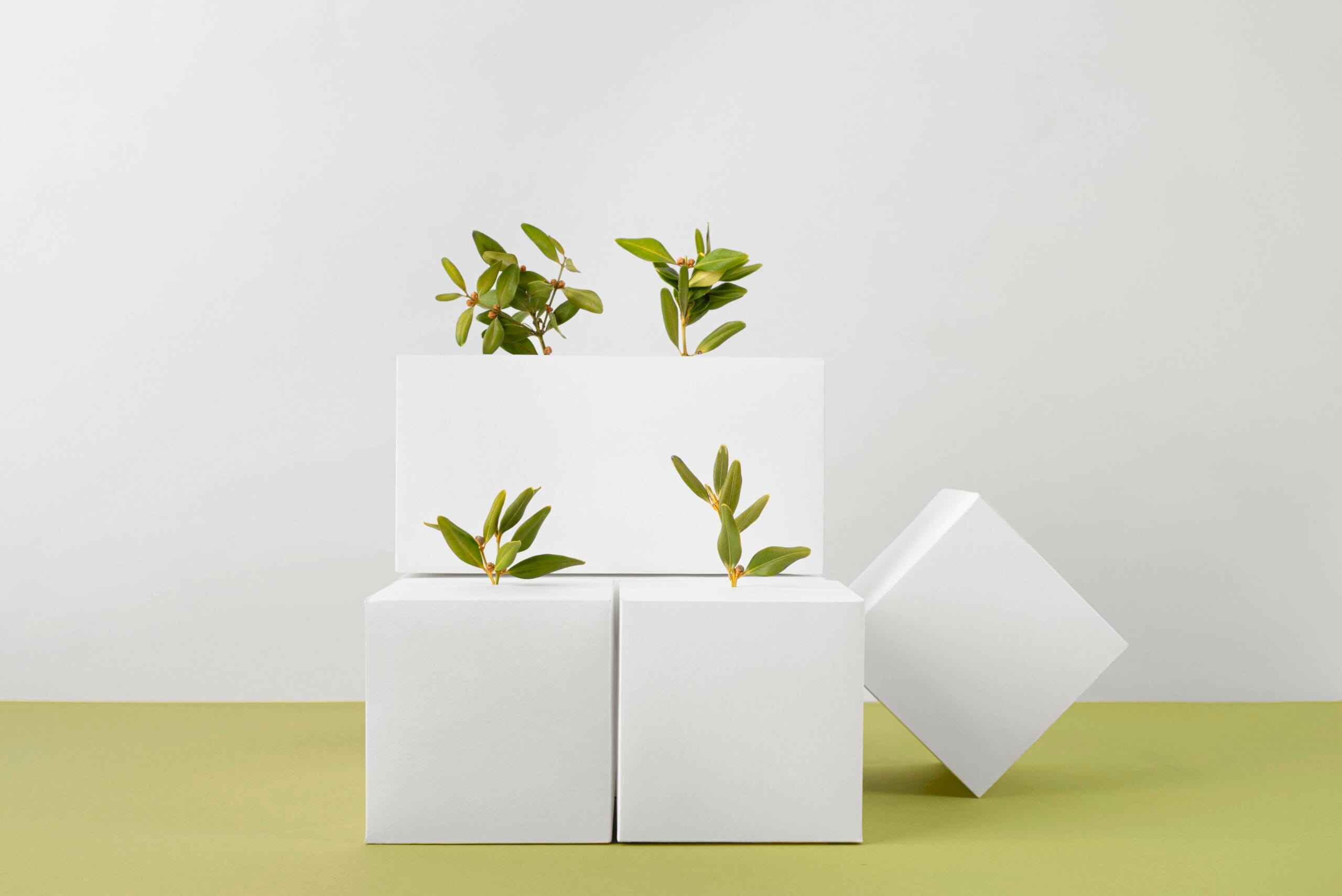 bioaqualife: Three white cubes with small green plants growing from holes are stacked against a light background. The setup creates a minimalist and modern aesthetic.